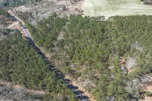 0 Windy Rd, Gilbert, SC 29054 - Photo 10