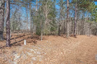 0 Windy Road, Gilbert, SC 29054 - Photo 4