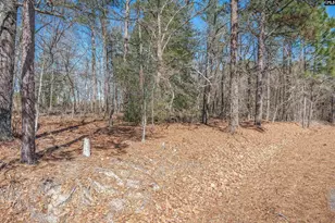 0 Windy Rd, Gilbert, SC 29054 - Photo 4