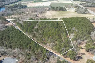 0 Windy Rd, Gilbert, SC 29054 - Photo 6