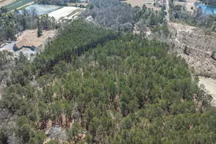 0 Windy Rd, Gilbert, SC 29054 - Photo 12