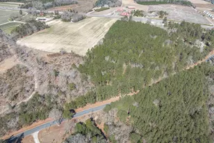 0 Windy Rd, Gilbert, SC 29054 - Photo 20