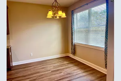 526 Bronze Drive, Lexington, SC 29072 - Photo 8