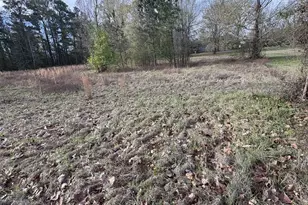 194 Wild Turkey Ln, Camden, SC 29020 - Photo 10