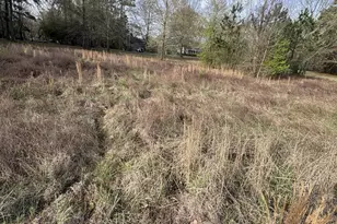 194 Wild Turkey Ln, Camden, SC 29020 - Photo 6