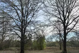 194 Wild Turkey Ln, Camden, SC 29020 - Photo 4