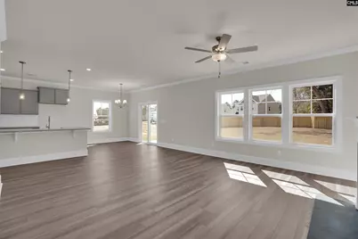 618 Griffon Drive, Chapin, SC 29036 - Photo 14