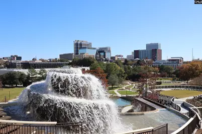 623 Laurel Street, Columbia, SC 29201 - Photo 32