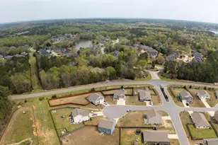 308 Throne Ct, Chapin, SC 29036 - Photo 62
