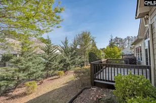203 Woodlander Dr, Blythewood, SC 29016 - Photo 34