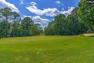 203 Woodlander Dr, Blythewood, SC 29016 - Photo 42