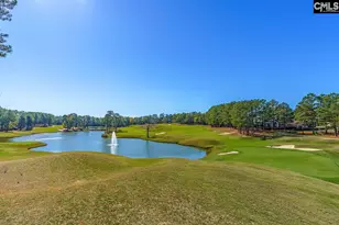 203 Woodlander Dr, Blythewood, SC 29016 - Photo 44