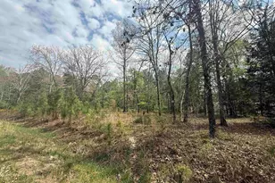 129 Treemount Ln, Gaston, SC 29053 - Photo 4