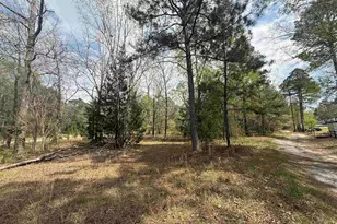 129 Treemount Ln, Gaston, SC 29053 - Photo 2