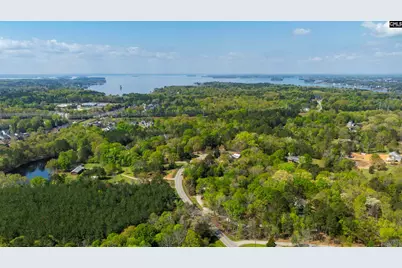 1310 Farming Creek Road, Irmo, SC 29063 - Photo 6