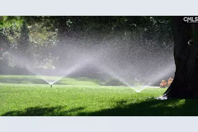 113 Balis Farm Circle, Blythewood, SC 29016 - Photo 4