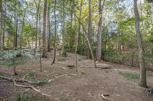 1525 Riviera Dr, West Columbia, SC 29169 - Photo 40