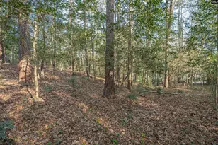 1525 Riviera Dr, West Columbia, SC 29169 - Photo 48