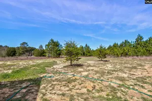 1100 Marlowe Dr, Manning, SC 29102 - Photo 28