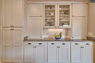 217 Otter Passage Road, Lexington, SC 29072 - Photo 14