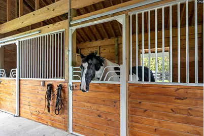 4097 Snaffle Bit Drive, Aiken, SC 29803 - Photo 54