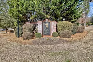 208 Woolbright Ln, Chapin, SC 29036 - Photo 54