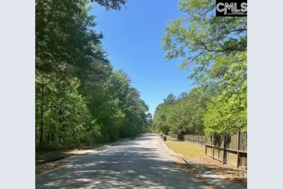 175 Geiger Lane, Gaston, SC 29053 - Photo 14