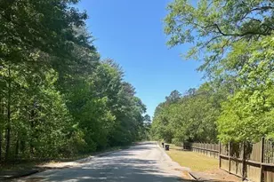 175 Geiger Ln, Gaston, SC 29053 - Photo 8
