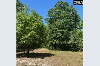 175 Geiger Lane, Gaston, SC 29053 - Photo 6