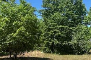 175 Geiger Ln, Gaston, SC 29053 - Photo 6