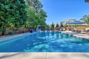 100 Birch Terrace Ct, Lexington, SC 29072 - Photo 6