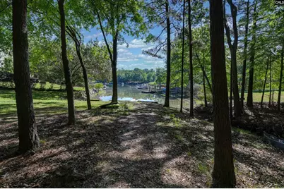 122 Lost Lure Lane, Chapin, SC 29036 - Photo 70