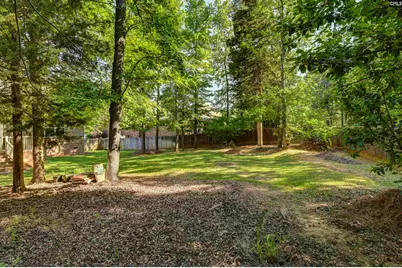 122 Lost Lure Lane, Chapin, SC 29036 - Photo 8