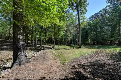 122 Lost Lure Lane, Chapin, SC 29036 - Photo 66