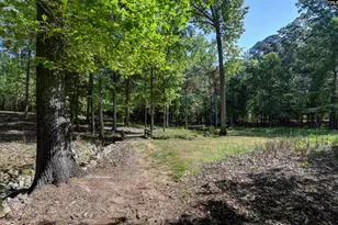 122 Lost Lure Ln, Chapin, SC 29036 - Photo 66