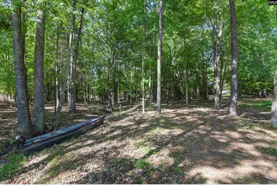 122 Lost Lure Lane, Chapin, SC 29036 - Photo 68
