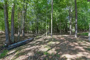 122 Lost Lure Ln, Chapin, SC 29036 - Photo 68