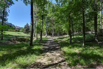122 Lost Lure Lane, Chapin, SC 29036 - Photo 68