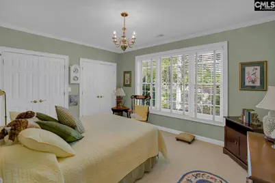 450 Oxenbridge Way, Chapin, SC 29036 - Photo 54