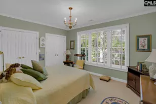 450 Oxenbridge Way, Chapin, SC 29036 - Photo 54