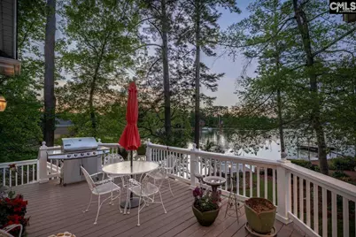 450 Oxenbridge Way, Chapin, SC 29036 - Photo 14