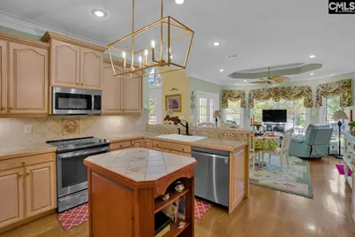 450 Oxenbridge Way, Chapin, SC 29036 - Photo 42