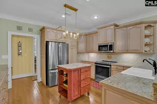 450 Oxenbridge Way, Chapin, SC 29036 - Photo 44