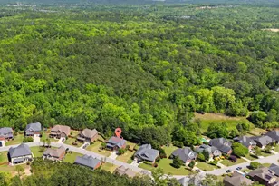158 Hope Springs Rd, Lexington, SC 29072 - Photo 44