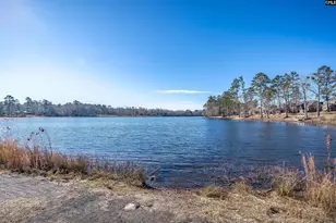 528 Saw Cheek Ln, Lexington, SC 29072 - Photo 46