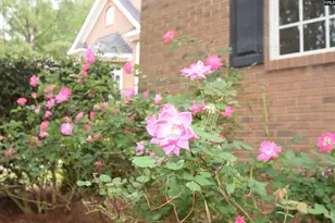 209 Kelsey Gln Dr, Lexington, SC 29072 - Photo 96