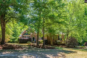 209 Kelsey Gln Dr, Lexington, SC 29072 - Photo 88
