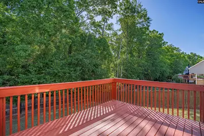 221 Foxport Drive, Chapin, SC 29036 - Photo 36
