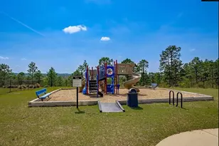 913 Tanreall Dr, Lexington, SC 29073 - Photo 34