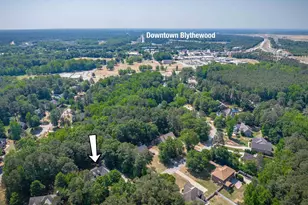 205 Fair Ridge Rd, Blythewood, SC 29016 - Photo 48